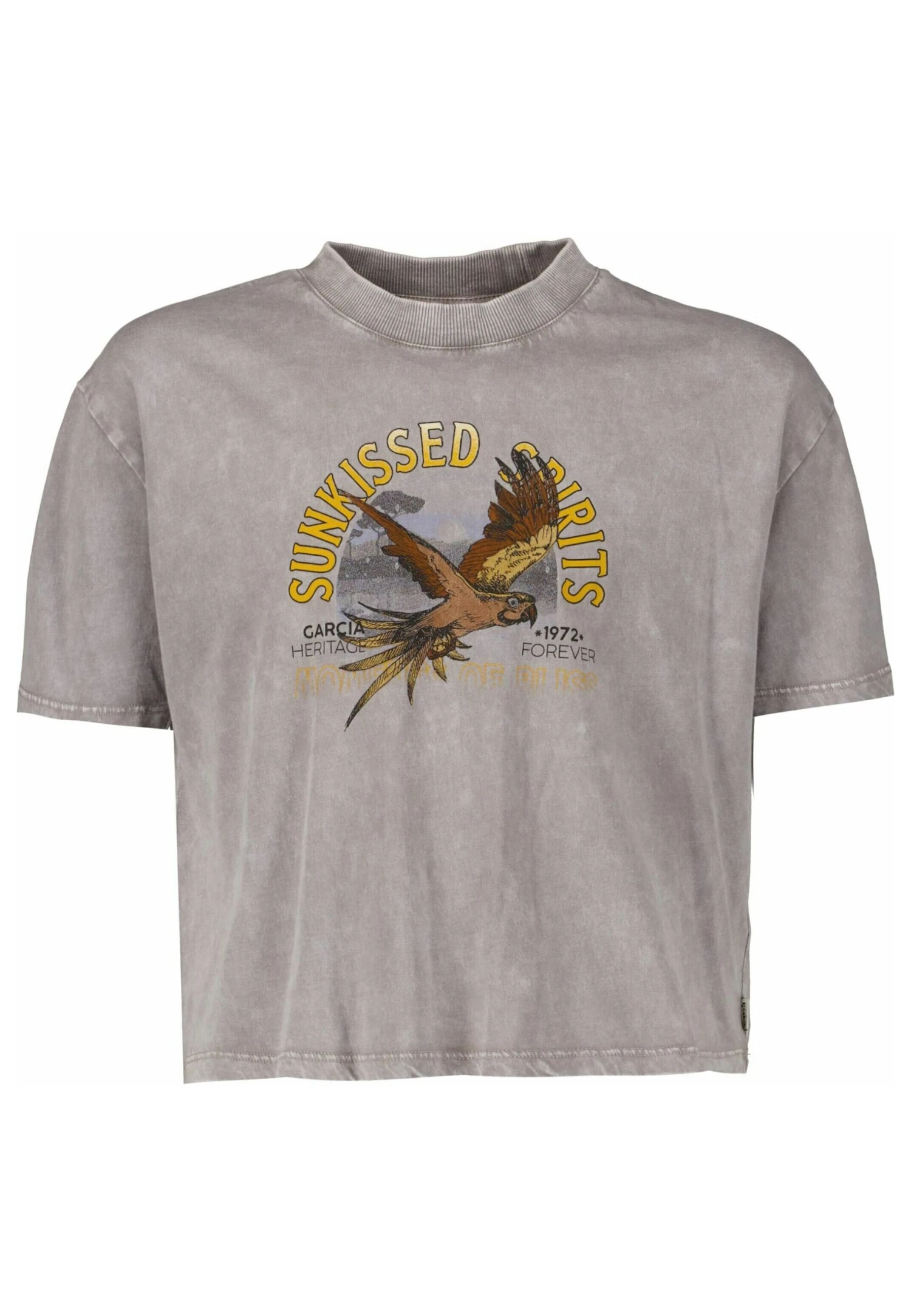 Garcia With Chest Print - T-Shirt Print - Rock Grey 3 Garcia With Chest Print - T-Shirt Print - Rock Grey