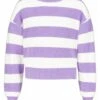 Garcia Striped - Trui - Daisy Blush 1 Garcia Striped - Trui - Daisy Blush -Clothing 66a2362d982d4e4ab167dffa1e9b7dc0
