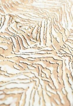 Voorkant -Clothing d5365e29fe814162b179d5663f1d7101