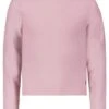 Garcia Longsleeve - Longsleeve - Shadow Mauve 2 Garcia Longsleeve - Longsleeve - Shadow Mauve -Clothing e1bc39e339c24b23b486d20f3bf942a8